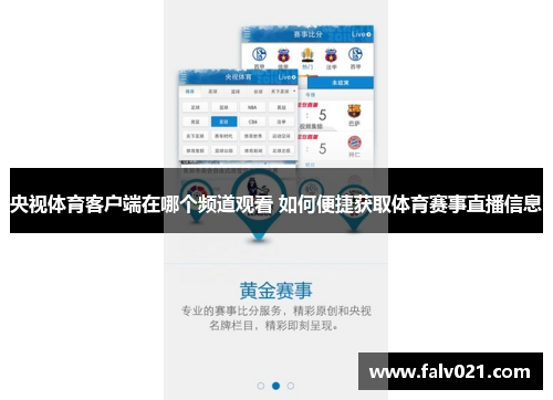 央视体育客户端在哪个频道观看 如何便捷获取体育赛事直播信息