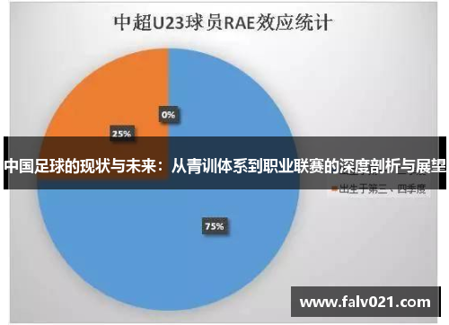 中国足球的现状与未来：从青训体系到职业联赛的深度剖析与展望